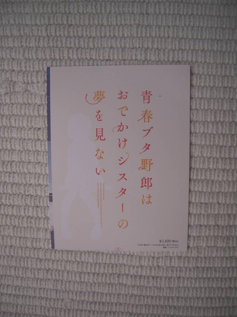 【半券のみ】☆劇場版　青春ブタ野郎はおでかけシスターの夢を見ない　全国共通特別鑑賞券（一般）　使用済み半券のみ　美品☆_画像1