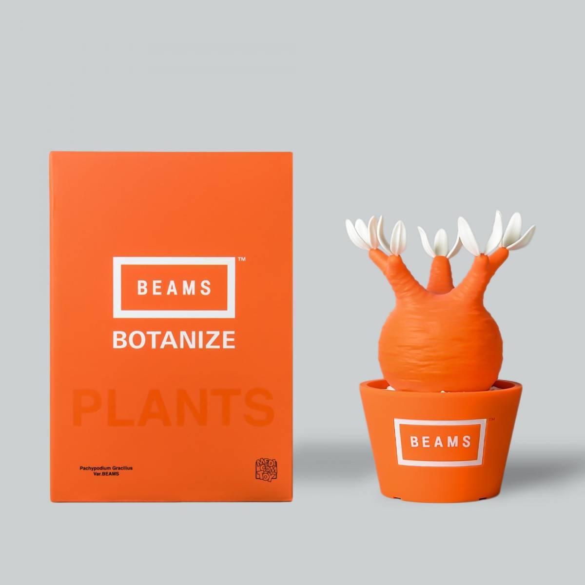大人気新品 BEAMS × BOTANIZE × TOY MEDICOM メディコムトイ 即決時送料無料 未開封 新品 Var.BEAMS Gracilius Pachypodium VCD ビームス ボタナイズ キューブリック、ベアブリック 大人気新品 BEAMS × BOTANIZE × TOY MEDICOM メディコムトイ 即決時送料無料 未開封 新品 Var.BEAMS Gracilius Pachypodium VCD ビームス ボタナイズ キューブリック、ベアブリック