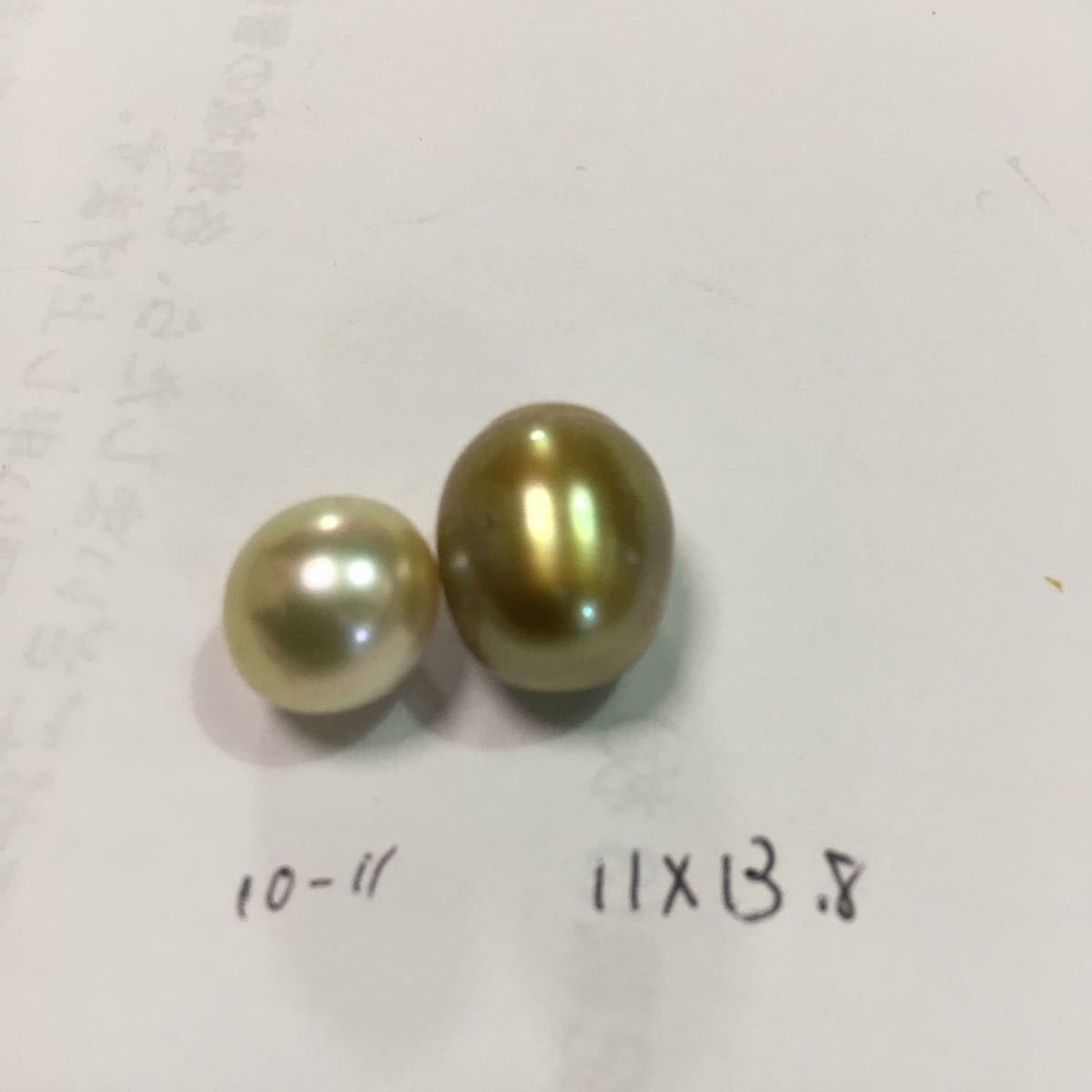 白蝶貝南洋真珠ルース2個