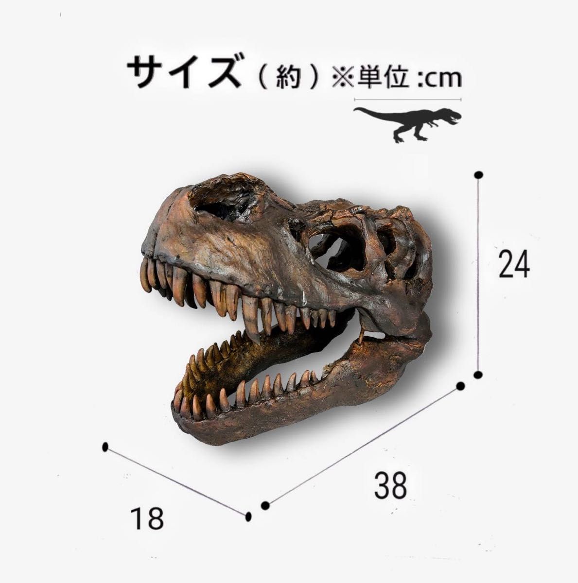 ティラノサウルス インテリア オブジェ 恐竜の化石 頭骨 レプリカ トリケラトプス ジュラシックワールド ジュラシックパーク