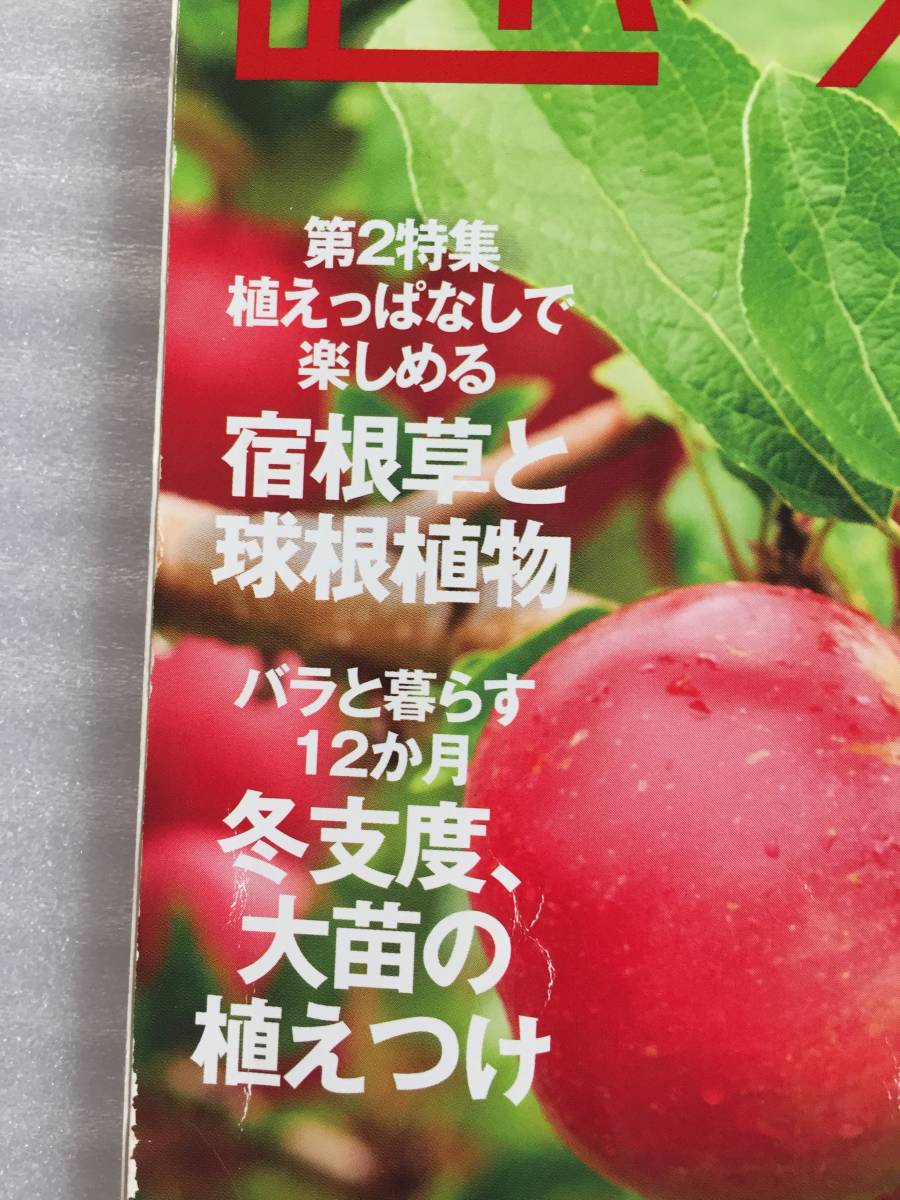 趣味の園芸　注目の果樹大集合　りんご　かんきつ　ぶどう　キウイ　コチョウラン　バラ　2018年　11月_画像2