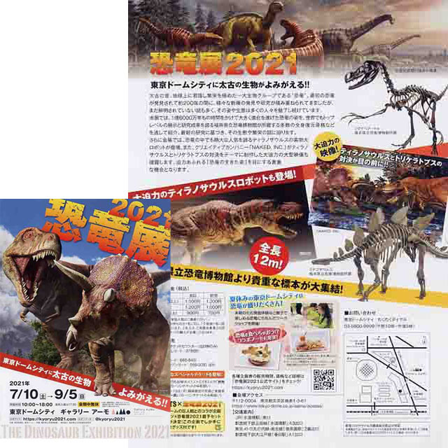 【博物展チラシ】『恐竜』 ティラノサウルス 進化◆美品_画像4