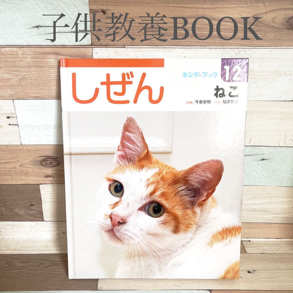 フレーベル館 キンダーブック しぜん 児童書 絵本 12 『ねこ フレーベル館 キンダーブック しぜん 児童書 絵本 12 『ねこ