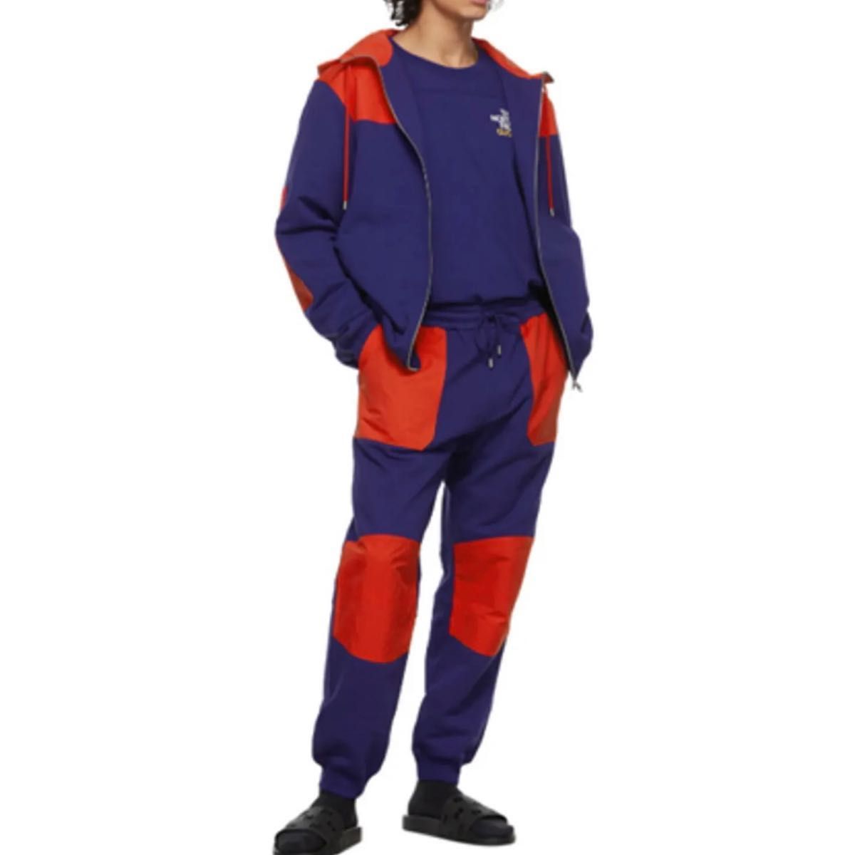 GUCCI THE NORTH FACE グッチ ノースフェイス セットアップ 上下 GUCCI THE NORTH FACE グッチ ノースフェイス セットアップ 上下