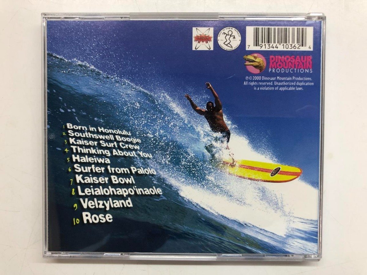 * [CD TROY FERNANDEZ SURFER FROM PALOLO Dinosaur Mountain Productions 2000 year ]143-02307