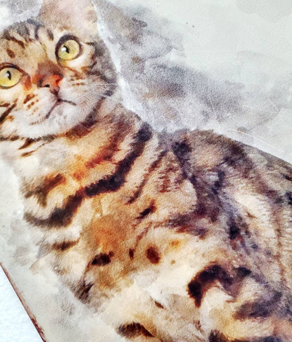 ブリキ看板 HANAKO レトロ 猫カフェ 猫の看板 W8 ベンガル キジトラ ウェルカムボード｜PayPayフリマ
