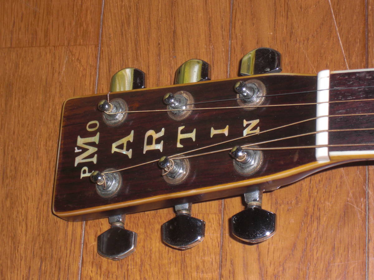 Pro Martin ギター W250 器材 | thephysicaleducator.com