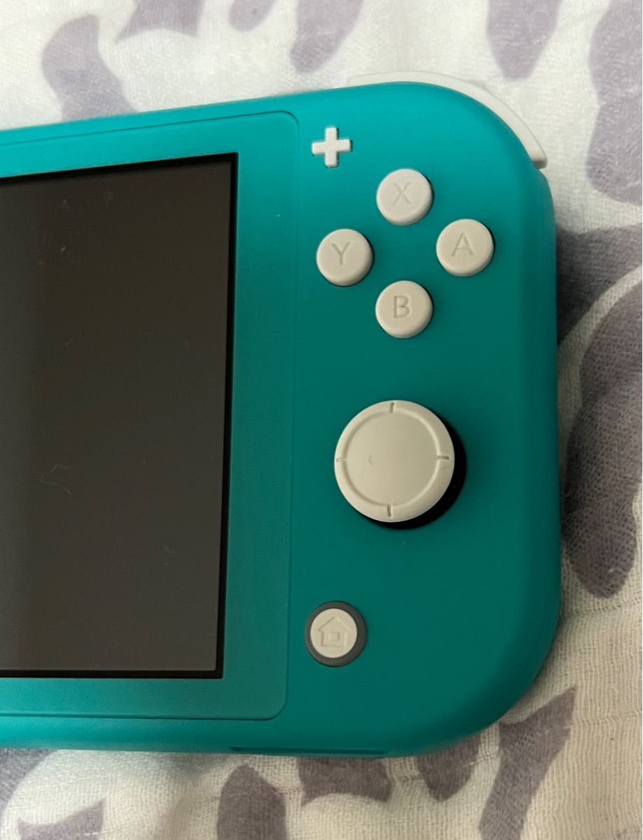 Nintendo Switch Lite 極美品！　本体　充電器、純正ソフトケース付き！　動作確認済み！