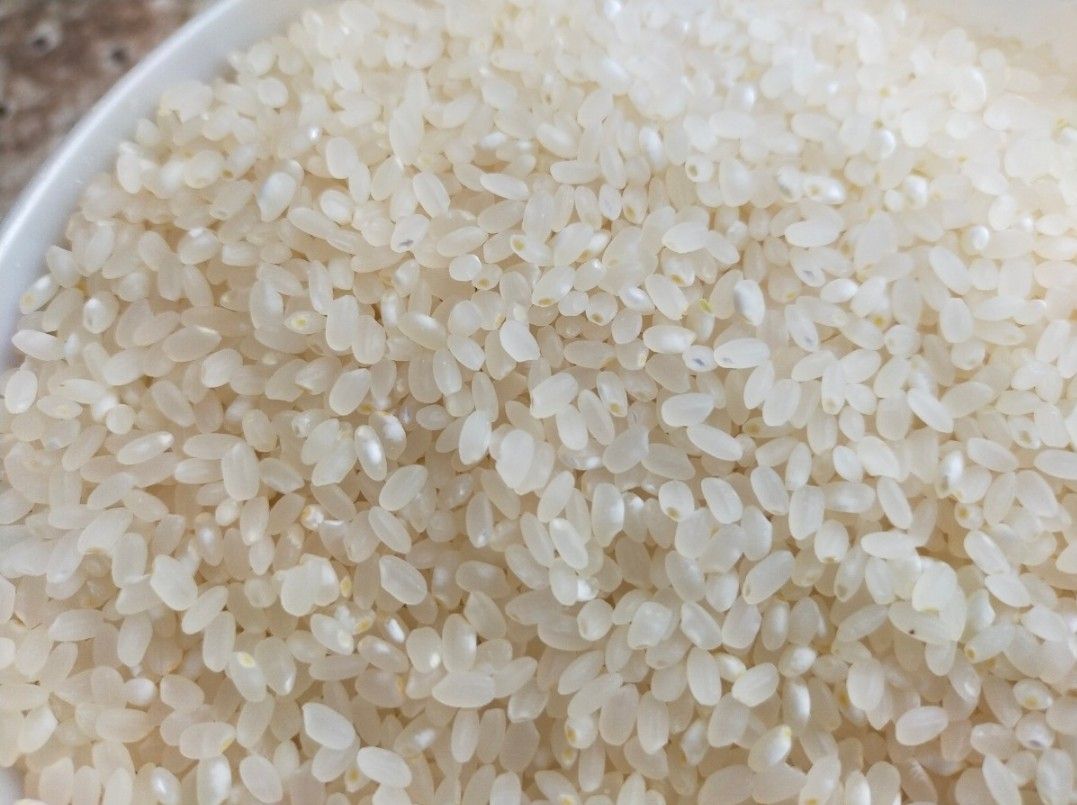 北海道産　農家直送 新米 米 ななつぼし　10kg（精米9kg）