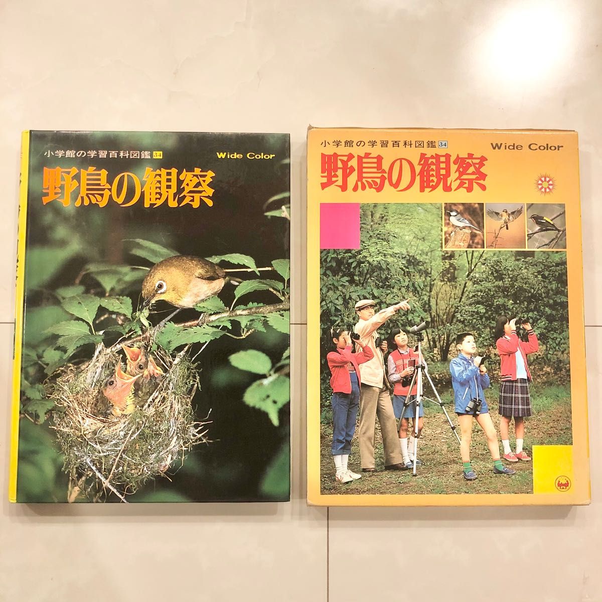 #13 小学館の学習百貨図鑑 野鳥の観察 レトロ ビンテージ コレクション 学研 13 小学館の学習百貨図鑑 野鳥の観察 レトロ ビンテージ
