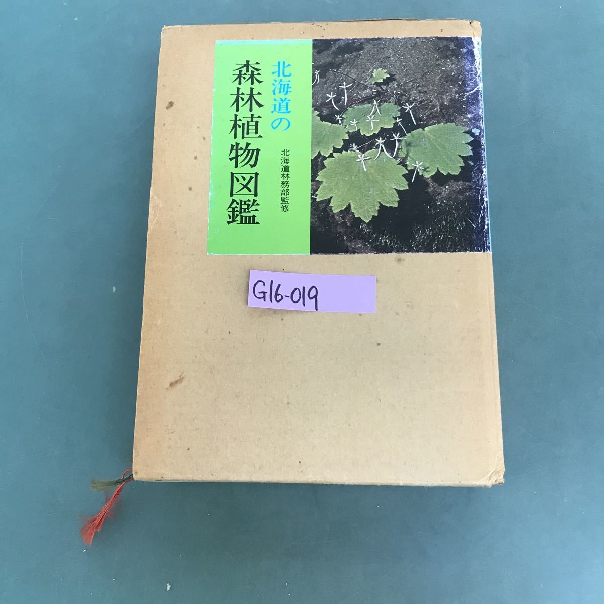 高級感 G16-019 北海道の森林植物図鑑 北海道林務部かんし 野草、植物