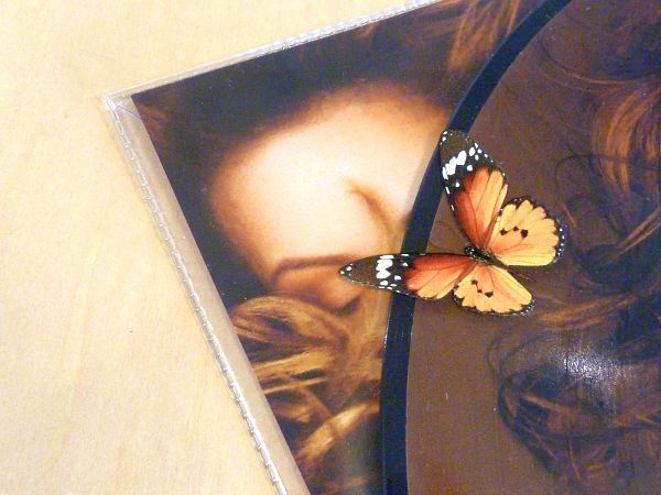 未使用 マライア・キャリー Butterfly 20周年記念ピクチャー盤LPアナログレコード Mariah Carey Honey Dru Hill_画像7