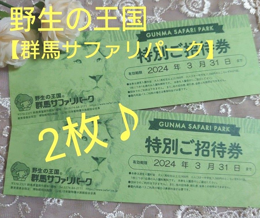 野生の王国【群馬サファリパーク】特別ご招待券★2枚