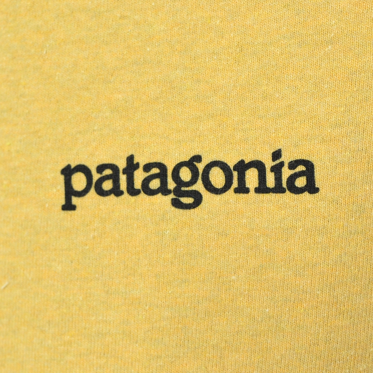●479133 未使用品 Patagonia ●Tシャツ 半袖 フィッツロイ ホライゾンズ レスポンシビリティー 38501 サイズM メンズ イエロー_画像5