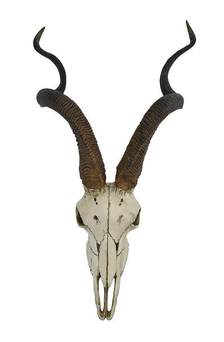 かっこよく曲がった角を持ったアフリカのクードゥー アンテロープ（レイヨウ）頭骨（頭蓋骨）壁彫刻 彫像（輸入品