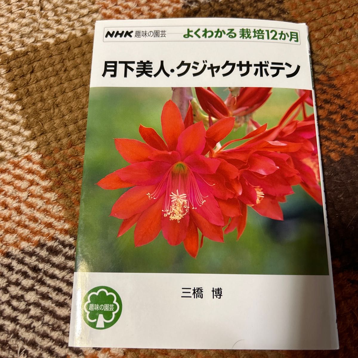 月下美人・クジャクサボテン （ＮＨＫ趣味の園芸　よくわかる栽培１２か月） 三橋博／著