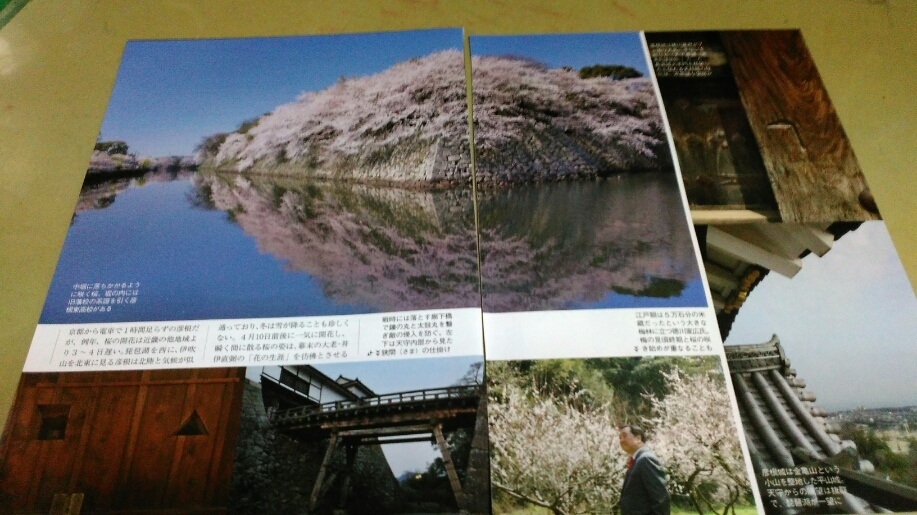 桜と琵琶湖を楽しむ「春の彦根城」グラビア雑誌・切抜き・7P・同梱可。_画像2