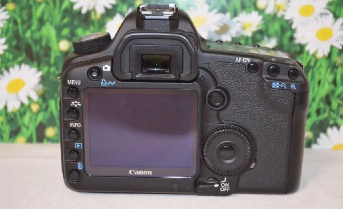 Canon キャノン EOS 5D MarkIIダブルレンズ！フルサイズ！