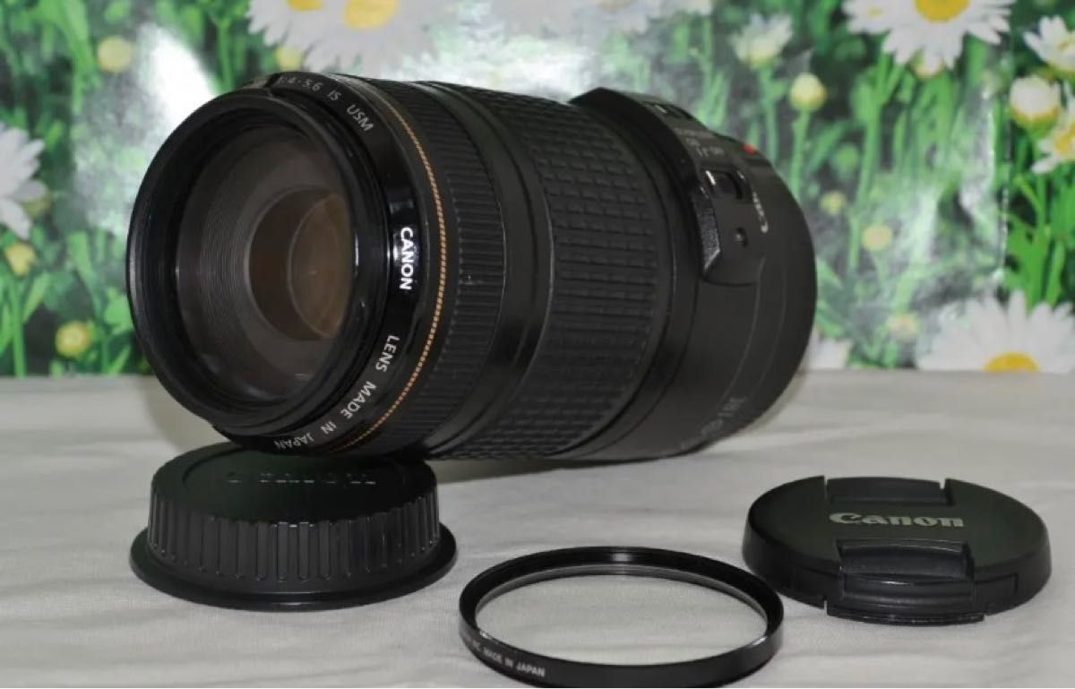 Canon EF 70-300mm F4-5.6 IS USM超望遠レンズ