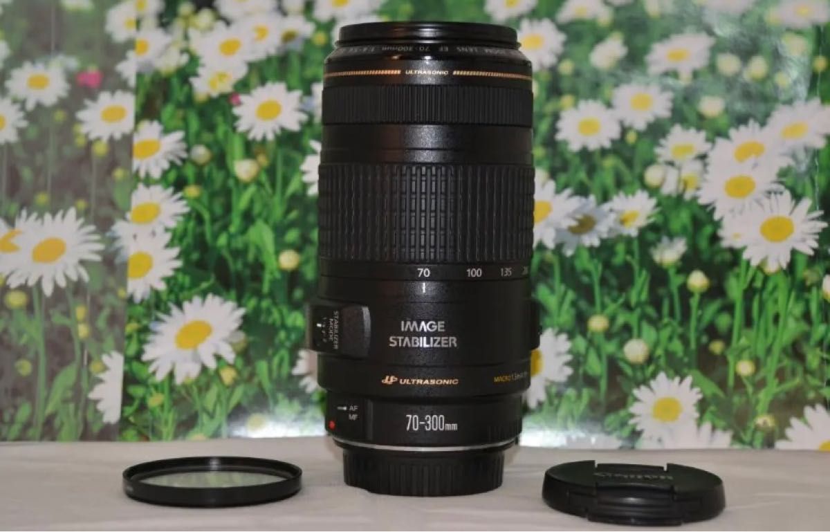 Canon EF 70-300mm F4-5.6 IS USM超望遠レンズ