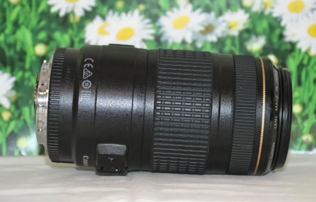Canon EF 70-300mm F4-5.6 IS USM超望遠レンズ