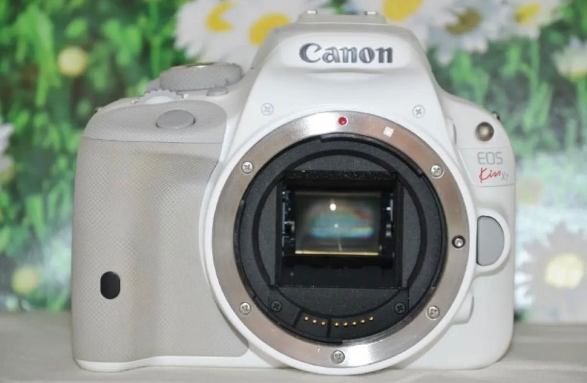 極美品 Canon EOS kiss X7 スマホに転送 ダブルレンズ Yahoo!フリマ（旧）-