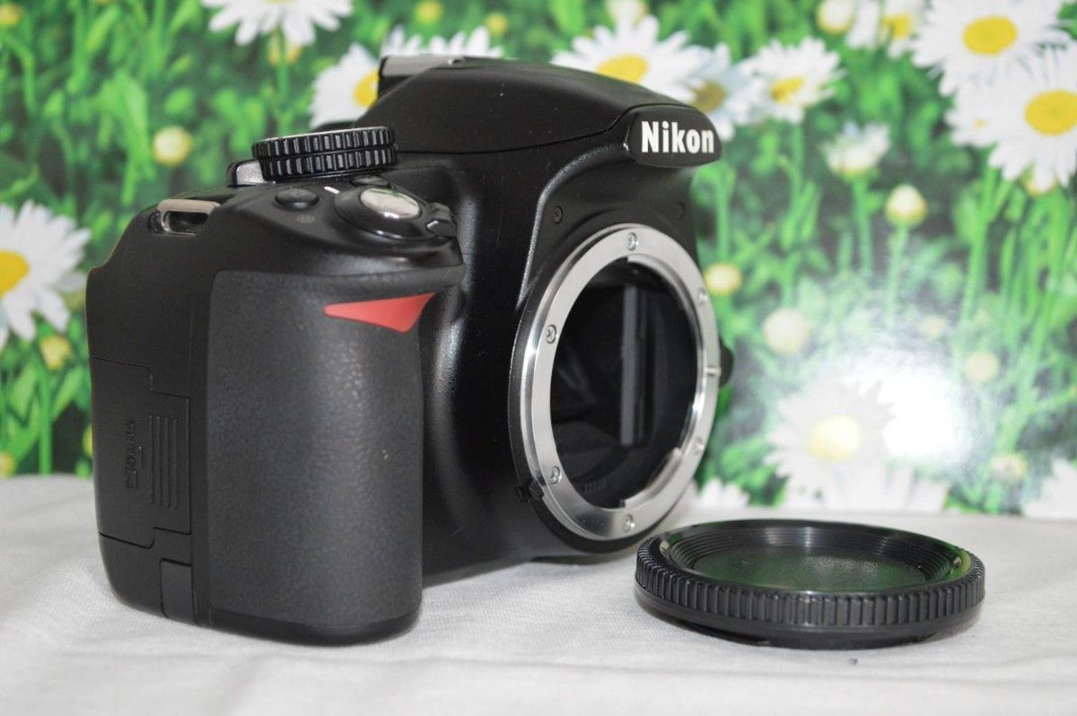 ✨初心者スタート美品セット✨Nikon ニコン D3100 一眼レフ レンズ-