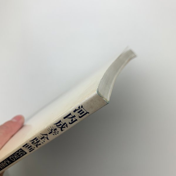 新版 河内成幸全版画 1968-1987 特装版 y01536_2-k3 新版 河内成幸全版画 1968-1987 特装版 y01536_2-k3