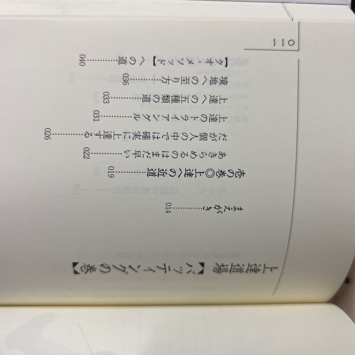 送料無料　手塚一志の上達道場　バッティングの巻_画像5