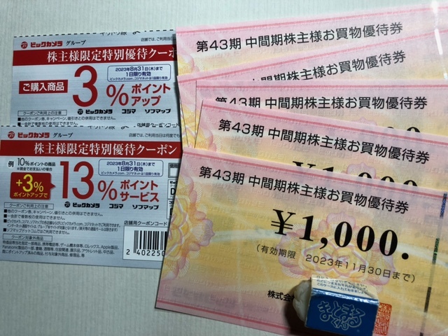 ビックカメラ 株主優待券 5,000円分 コジマ ソフマップ 家電 パソコン