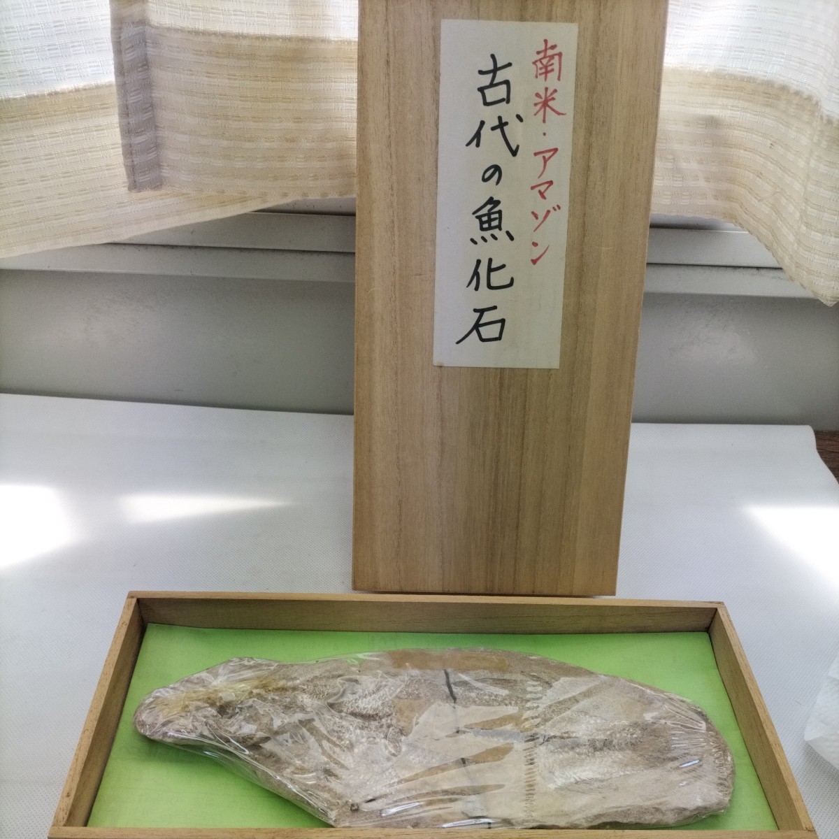 魚類化石 南米 アマゾン産 古代魚 化石 古代の魚の化石 石