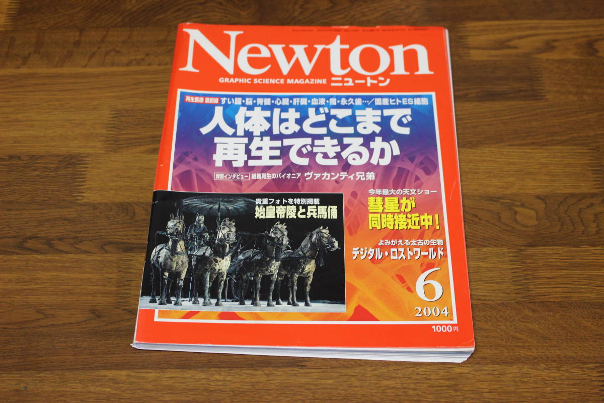 Newton new ton 2004 year 6 month number reproduction medical care most front line human body is . whirligig . reproduction is possible . organization reproduction. Pioneer va can ti siblings V190