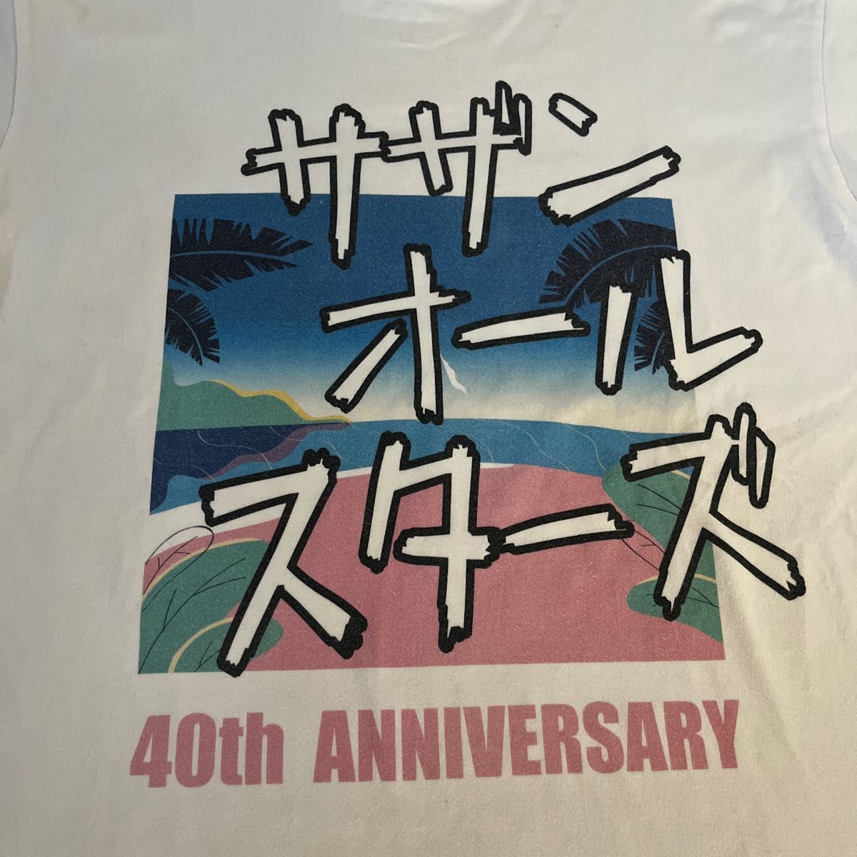 サザンオールスターズ 40周年 ライブTシャツ Lサイズ 使用品 サザンオールスターズ 40周年 ライブTシャツ Lサイズ 使用品