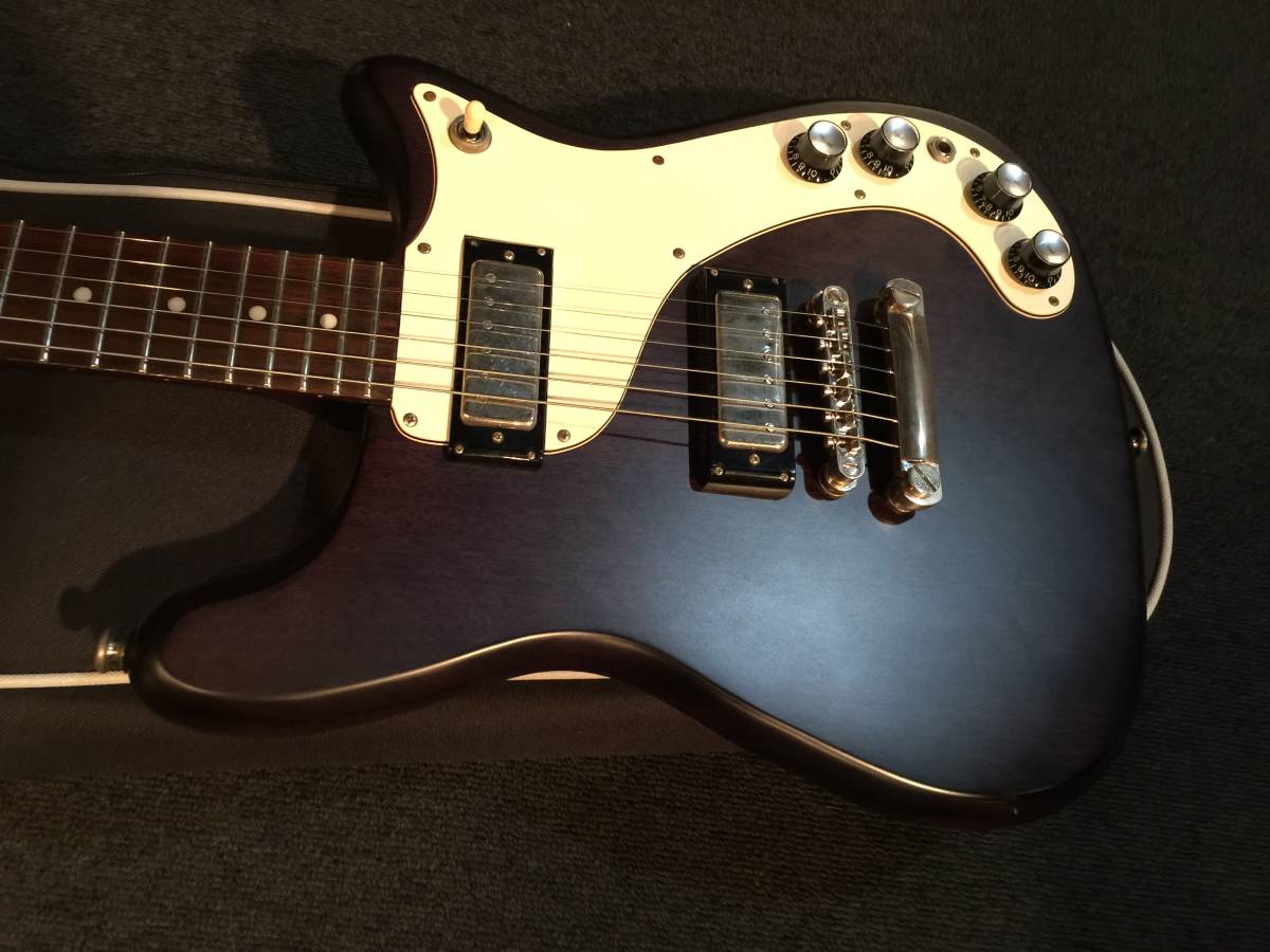 ヤフオク! - No107522 生産完了!Epiphone Wilshi...