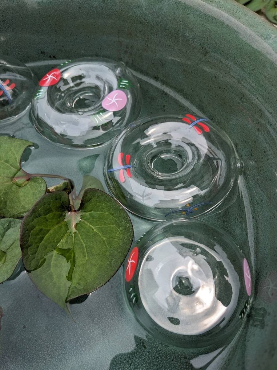  float glass 3 kind ( swim ring )...* goldfish *.me Dakar aquarium fishbowl water plants pot 