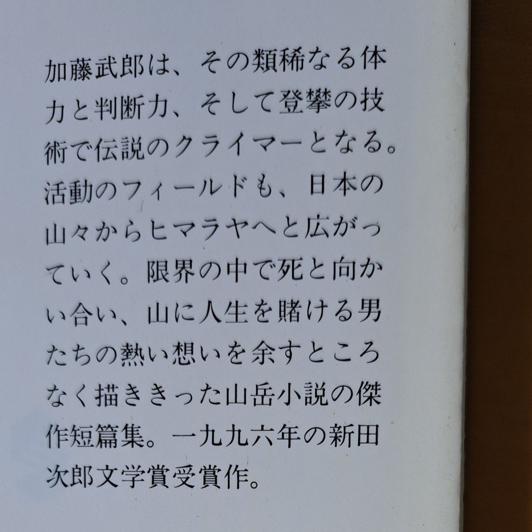 バラ売り可　新編単独行 遥かなり神々の座 日本百名山 白き峰の男 山は私の学校だった 極北に駆ける 