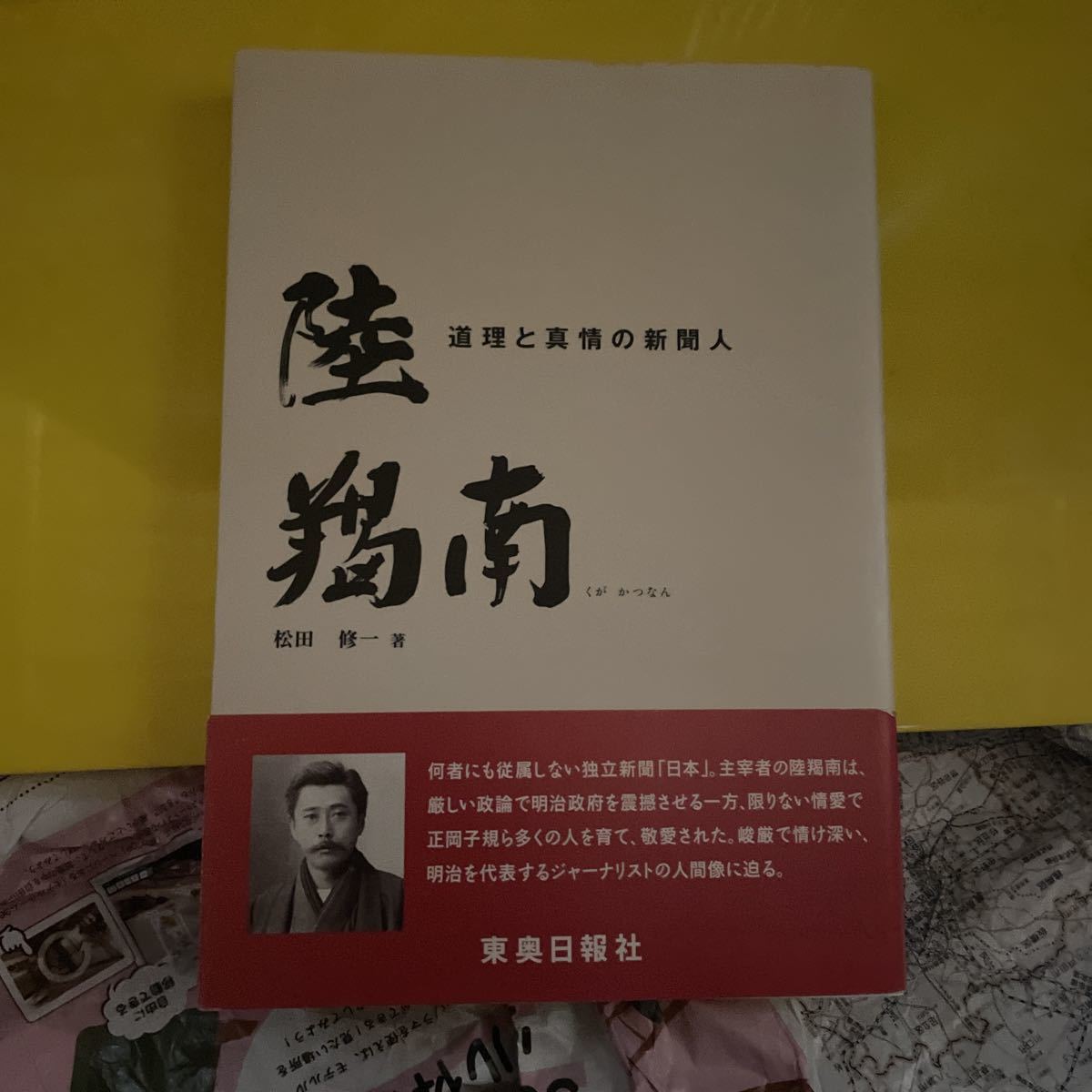 道理と真情の新聞人　陸羯南 松田修一／著