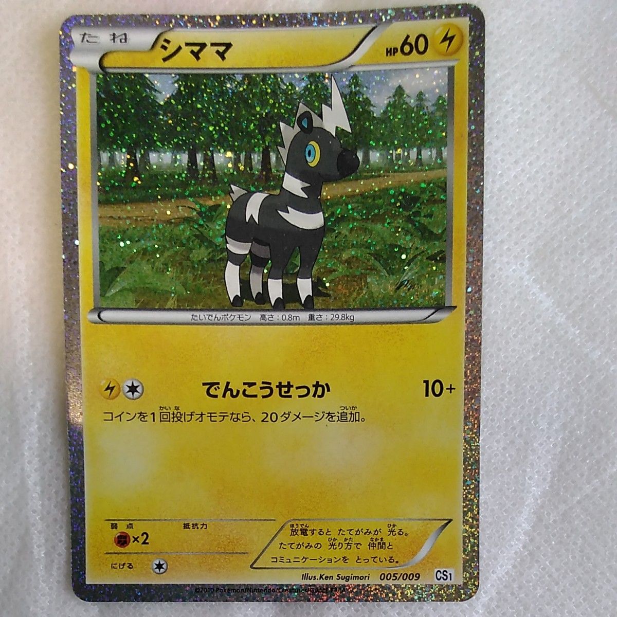 ポケモンカードゲームBWコレクションシート旅立ちの仲間ポカブ ポケモンカードゲームBWコレクションシート旅立ちの仲間ポカブ