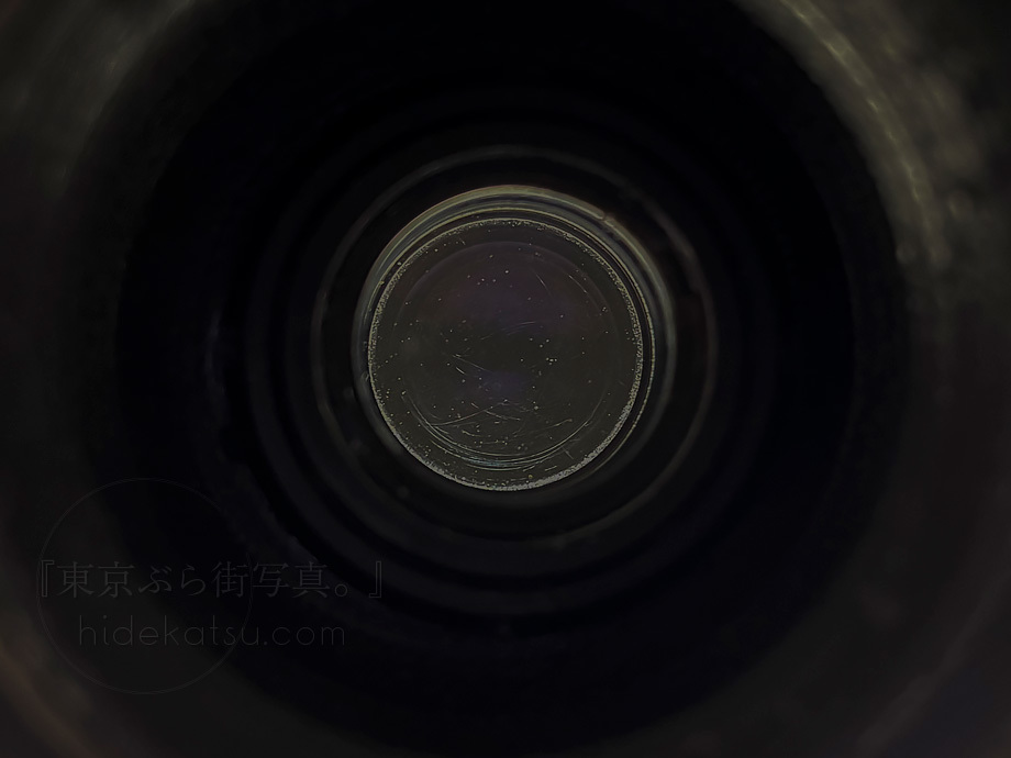 フィルムカメラのレンズを現代のミラーレスで Zeiss Ikon Novar-Anastigmat 75mm（おそらく50m相当） F4.5_画像10