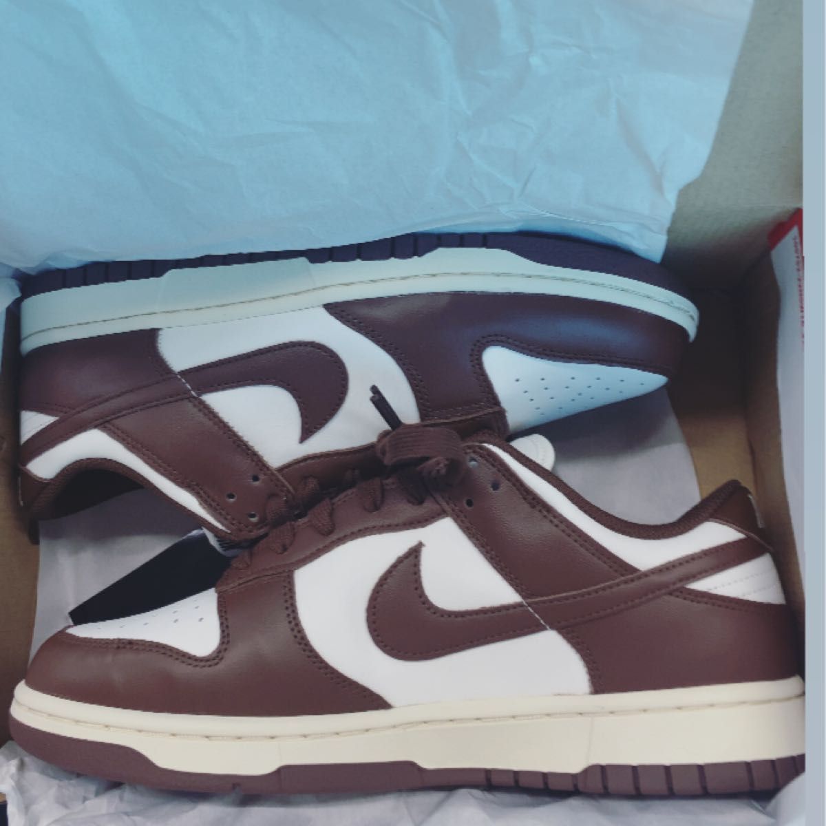 ナイキ ウィメンズ ダンク ロー セイル カカオワウ Nike WMNS Dunk Low Sail Cacao Wow
