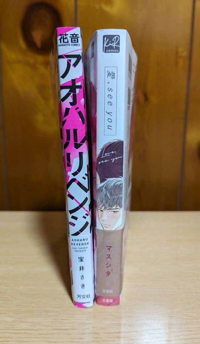 宝井さき「アオハルリベンジ」マスシタ「愛、see you」