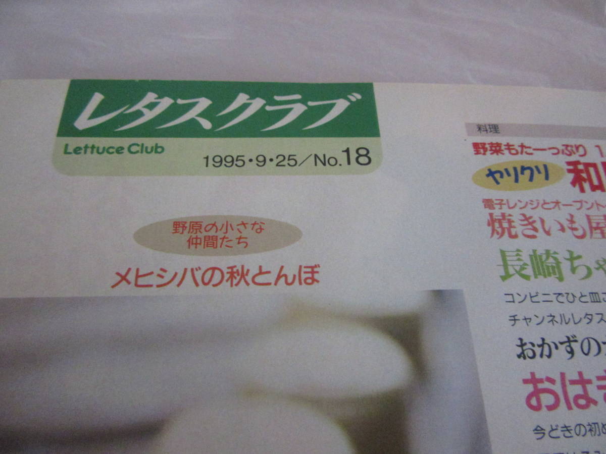 ★平成７年発行　レタスクラブ　1995.9.25／NO.18 やりくり和風ハンバーグ★　_画像7