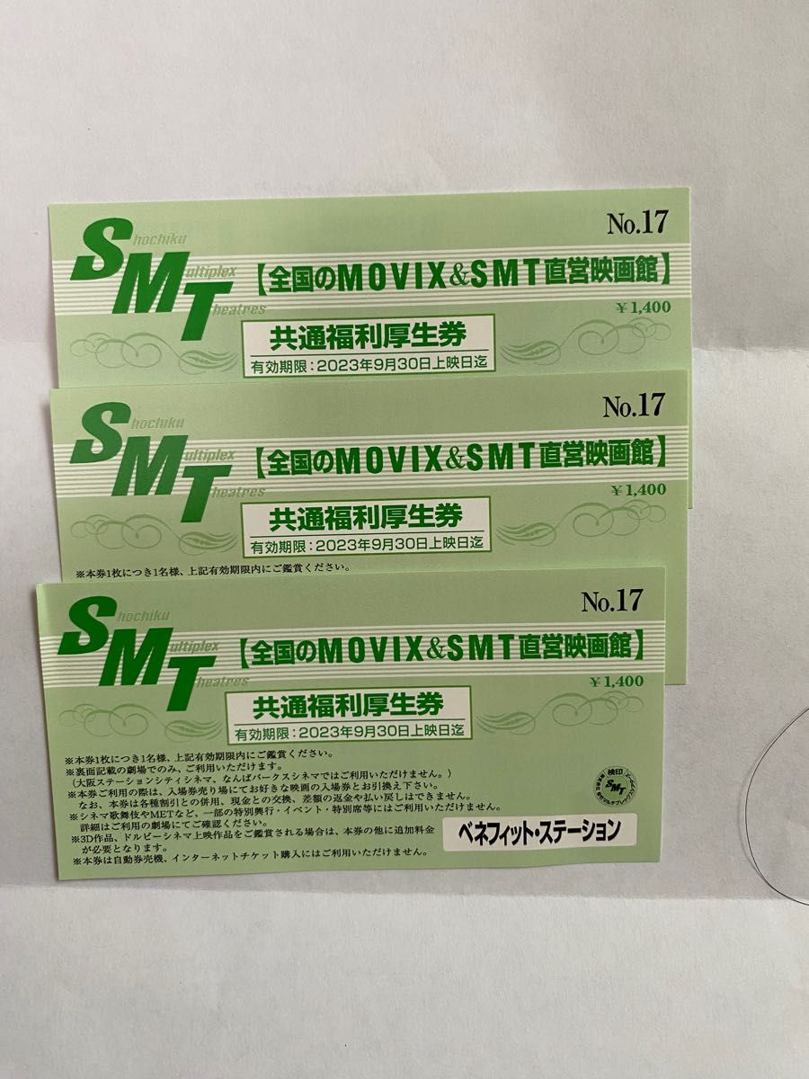 MOVIX＆SMT直営映画館 映画チケット 1枚 - その他