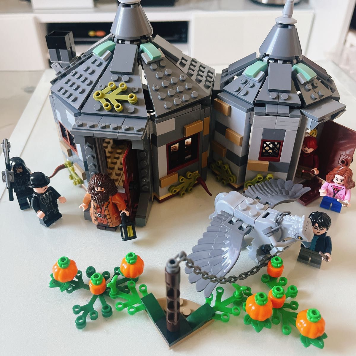 レゴ(LEGO) ハリーポッター ハグリッドの小屋75947