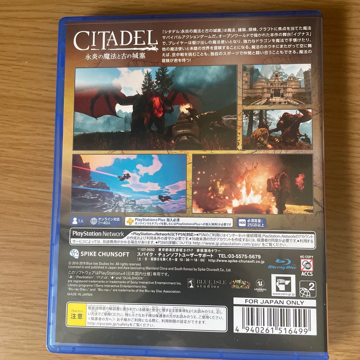 【PS4】 シタデル：永炎の魔法と古の城塞