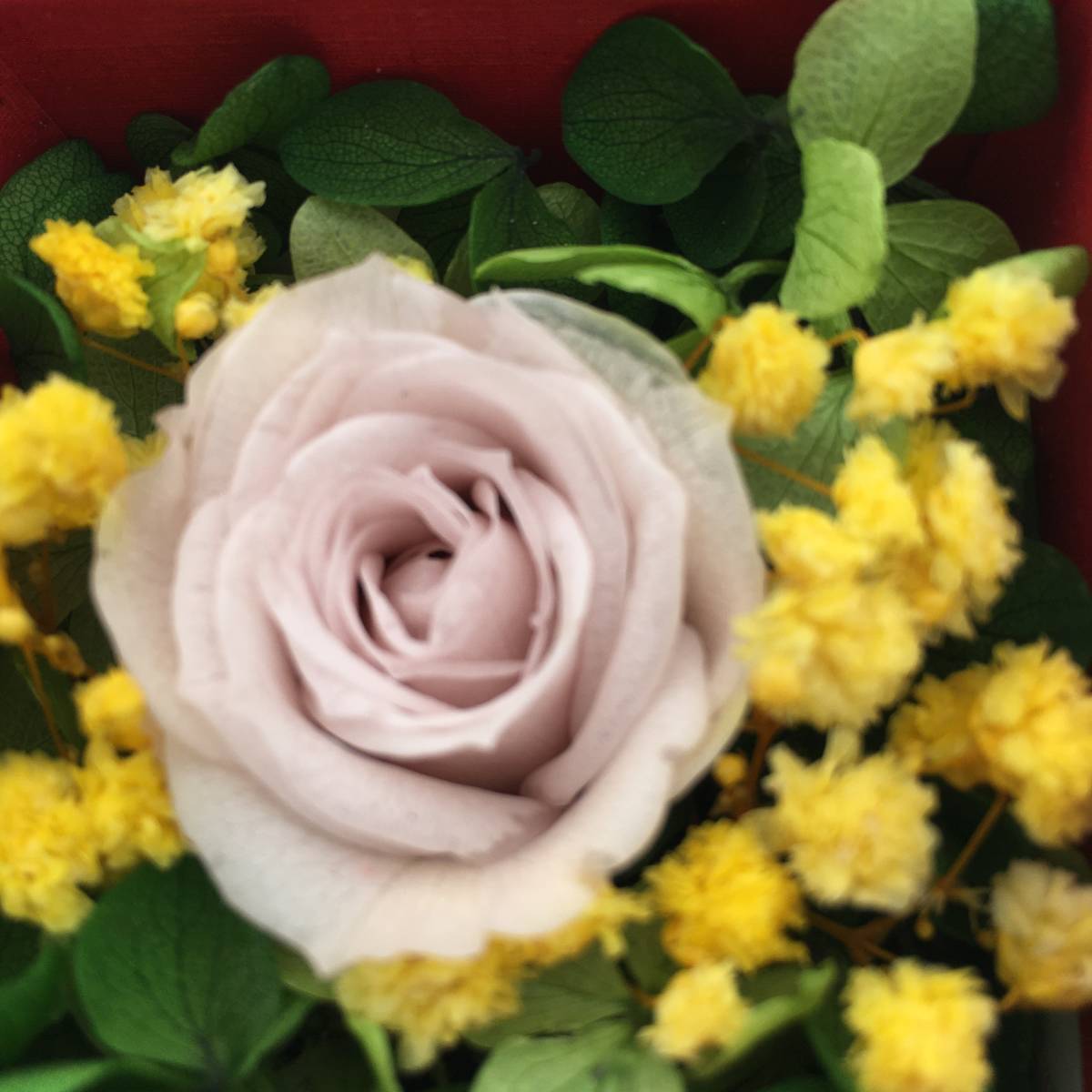 < новый товар > консервированный цветок Mini box организовать ручная работа роза rose гортензия гипсофила ..... подарок подарок 