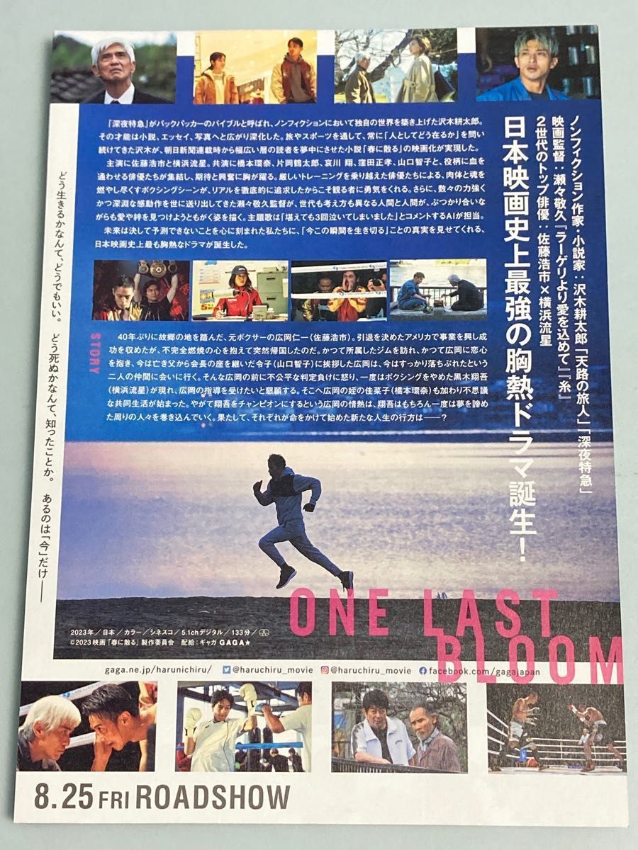 映画 春に散る フライヤー チラシ ５０枚 佐藤浩市 横浜流星 橋本環奈 窪田正孝 哀川翔｜PayPayフリマ