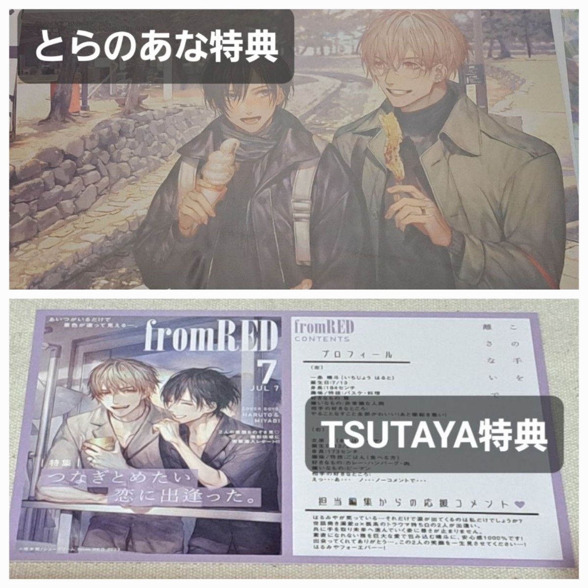 新品未読品　この手を離さないで　2　咲本﨑　TSUTAYA　とらのあな　特典　from RED 