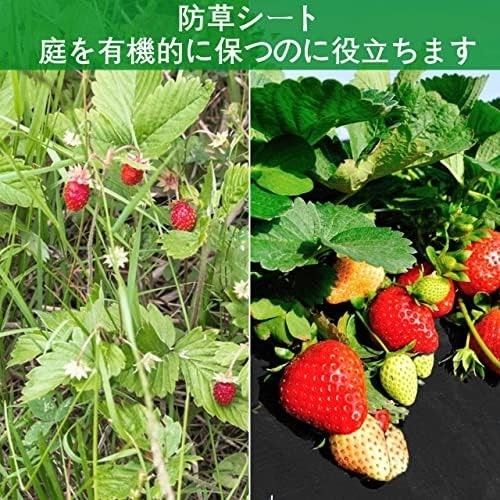 【新品送料無料】防草シート 厚手 1x50m 耐用年数5 雑草対策防止 高透水 高耐久 高密度 不織布 UV耐候剤配合_画像7