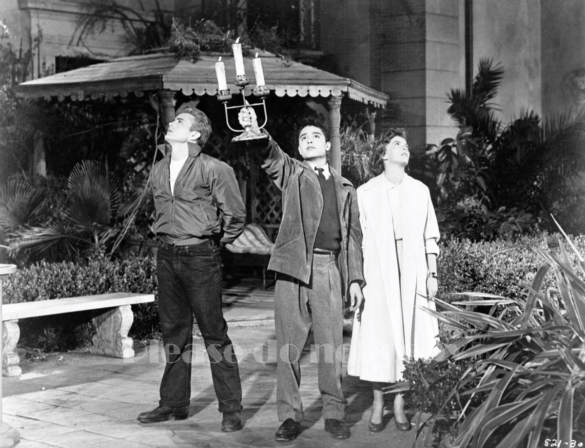1955年 映画 理由なき反抗 ジェームズ・ディーン ナタリー・ウッド モノクロ　大きなサイズのフォト　2枚付き_画像2